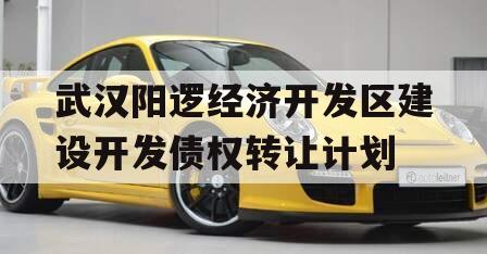 武汉阳逻经济开发区建设开发债权转让计划