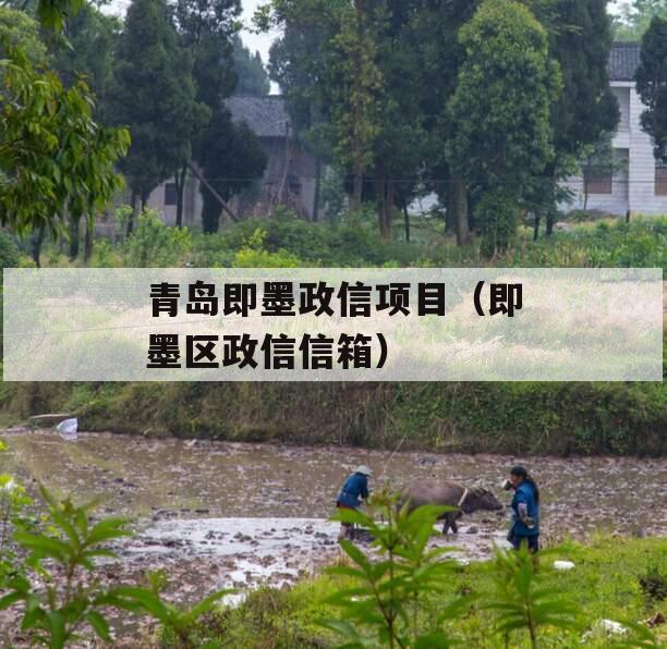 青岛即墨政信项目（即墨区政信信箱）