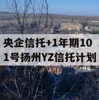 央企信托+1年期101号扬州YZ信托计划
