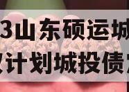 2023山东硕运城投债权计划城投债定融
