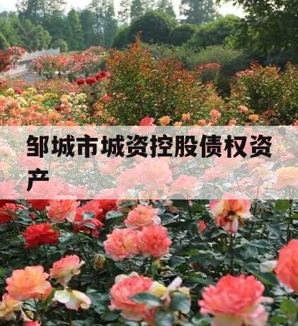 邹城市城资控股债权资产