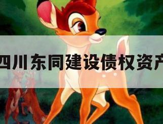 四川东同建设债权资产