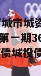 山东邹城市城资控股2023年第一期364天CNY债城投债定融