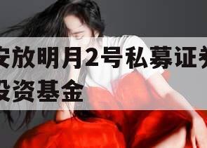 安放明月2号私募证券投资基金
