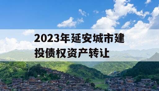 2023年延安城市建投债权资产转让
