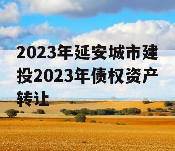 2023年延安城市建投2023年债权资产转让