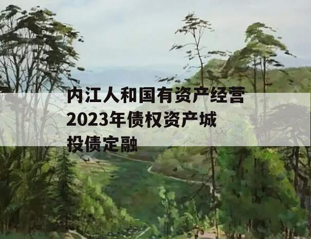 内江人和国有资产经营2023年债权资产城投债定融