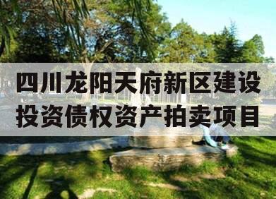 四川龙阳天府新区建设投资债权资产拍卖项目