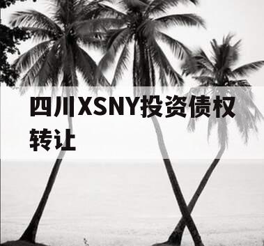 四川XSNY投资债权转让