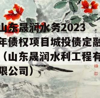 山东晟润水务2023年债权项目城投债定融（山东晟润水利工程有限公司）