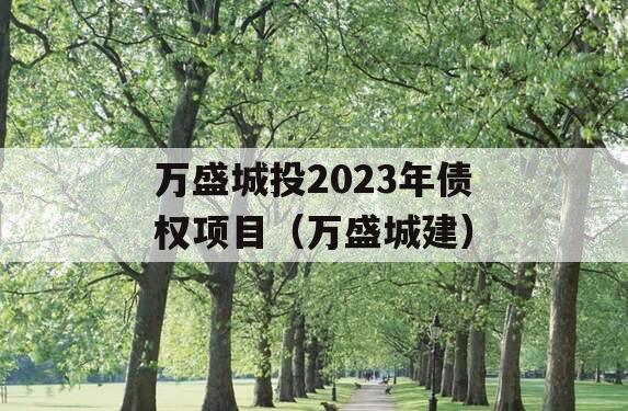 万盛城投2023年债权项目（万盛城建）