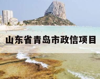 山东省青岛市政信项目