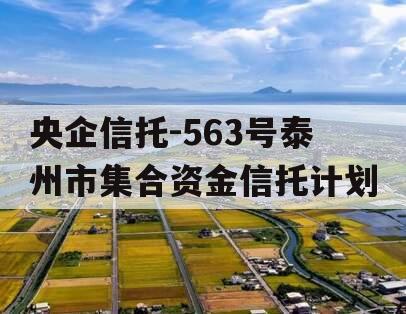 央企信托-563号泰州市集合资金信托计划