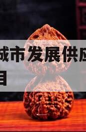 菏泽城市发展供应链金融项目