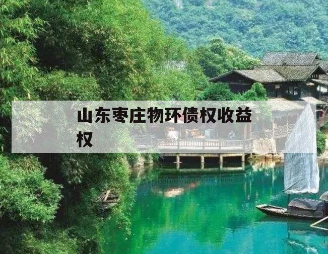 山东枣庄物环债权收益权