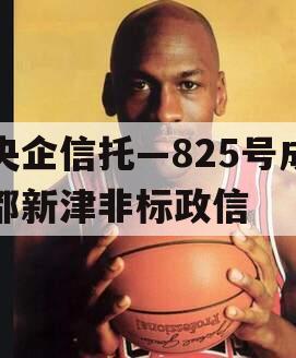 央企信托—825号成都新津非标政信