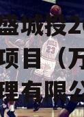 重庆万盛城投2023年债权项目（万盛城市投资管理有限公司）