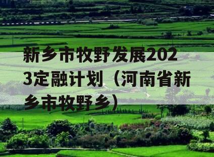 新乡市牧野发展2023定融计划（河南省新乡市牧野乡）