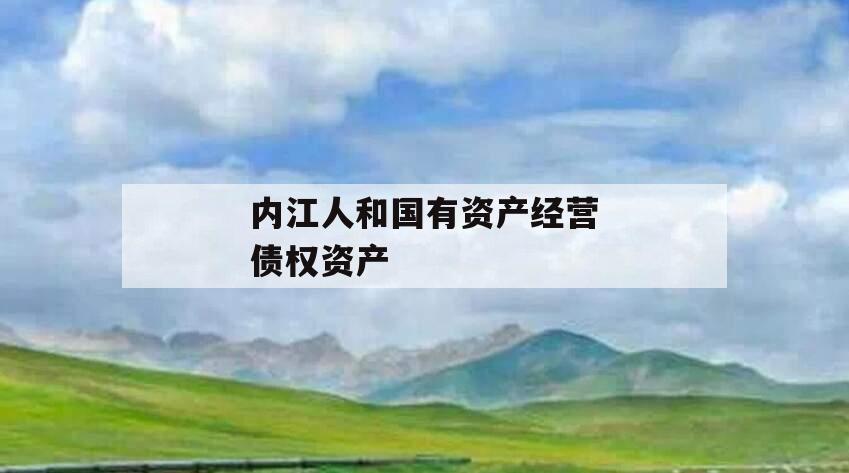 内江人和国有资产经营债权资产