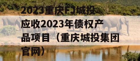 2023重庆FJ城投应收2023年债权产品项目（重庆城投集团官网）