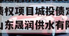 山东晟润水务2023年债权项目城投债定融（山东晟润供水有限公司）