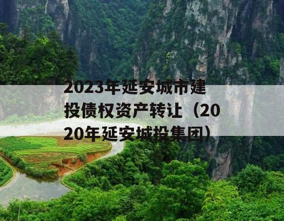 2023年延安城市建投债权资产转让（2020年延安城投集团）