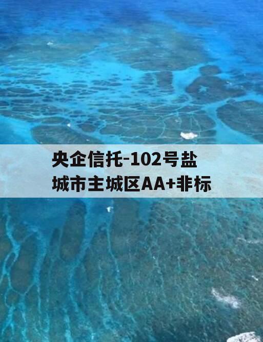 央企信托-102号盐城市主城区AA+非标