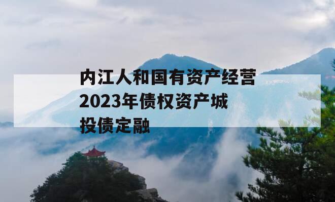 内江人和国有资产经营2023年债权资产城投债定融