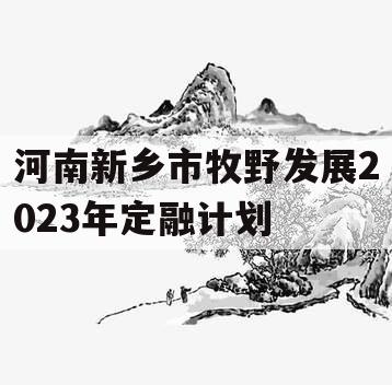 河南新乡市牧野发展2023年定融计划