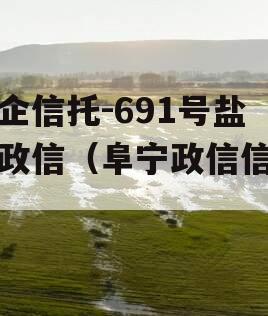 央企信托-691号盐城政信（阜宁政信信托）