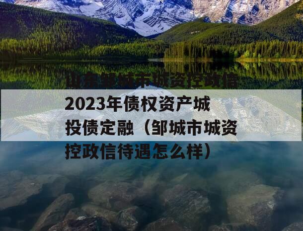 山东邹城市城资控政信2023年债权资产城投债定融（邹城市城资控政信待遇怎么样）