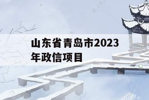 山东省青岛市2023年政信项目