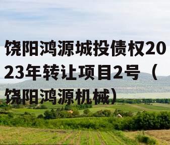 饶阳鸿源城投债权2023年转让项目2号（饶阳鸿源机械）