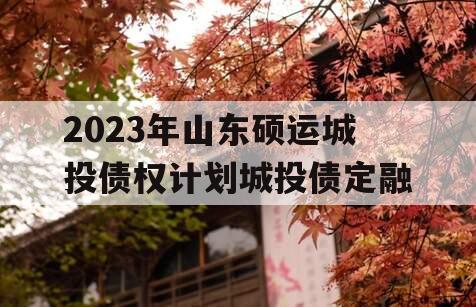 2023年山东硕运城投债权计划城投债定融