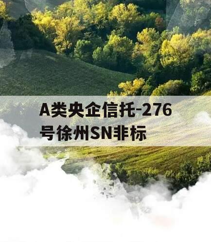 A类央企信托-276号徐州SN非标