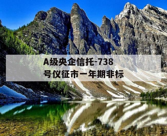 A级央企信托-738号仪征市一年期非标