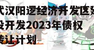 武汉阳逻经济开发区建设开发2023年债权转让计划