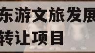 绵阳东游文旅发展债权资产转让项目
