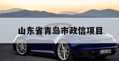 山东省青岛市政信项目