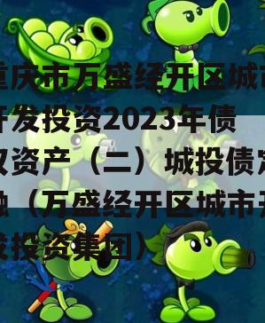 重庆市万盛经开区城市开发投资2023年债权资产（二）城投债定融（万盛经开区城市开发投资集团）