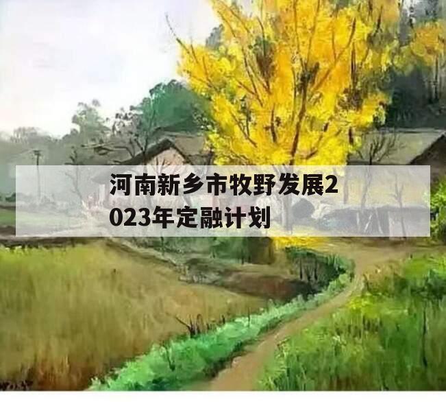 河南新乡市牧野发展2023年定融计划