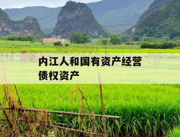内江人和国有资产经营债权资产