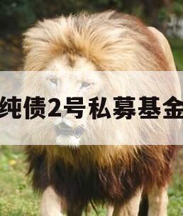 纯债2号私募基金