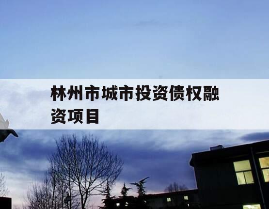 林州市城市投资债权融资项目