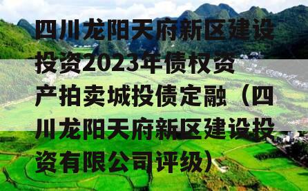 四川龙阳天府新区建设投资2023年债权资产拍卖城投债定融（四川龙阳天府新区建设投资有限公司评级）