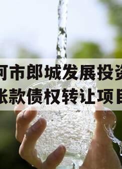 漂河市郎城发展投资应收账款债权转让项目