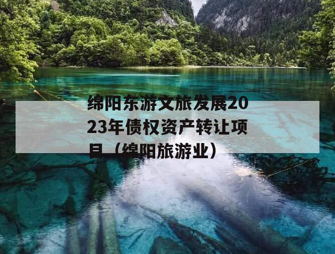 绵阳东游文旅发展2023年债权资产转让项目（绵阳旅游业）