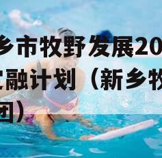 新乡市牧野发展2023定融计划（新乡牧野集团）
