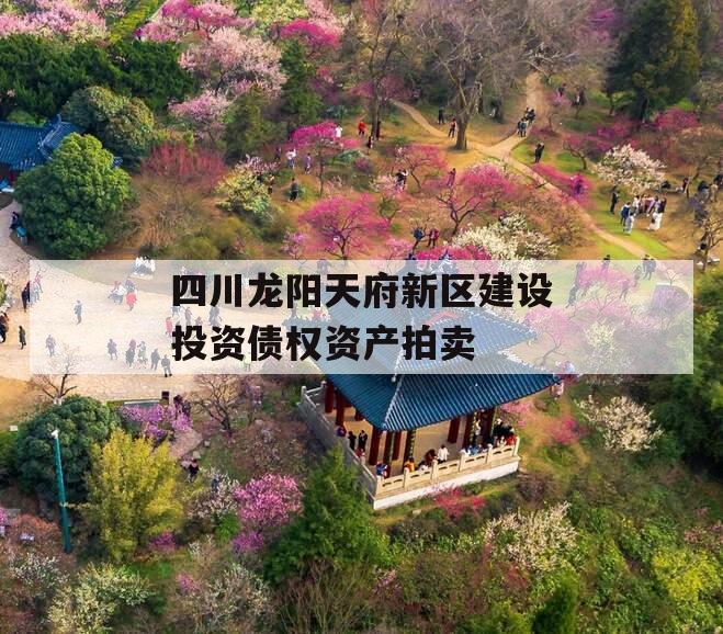 四川龙阳天府新区建设投资债权资产拍卖