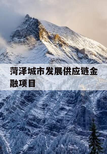 菏泽城市发展供应链金融项目